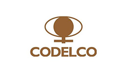 Corporaci ó n Nacionaldel Cobre de Chile (Codelco)