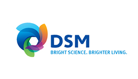 DSM