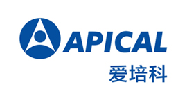 Apical